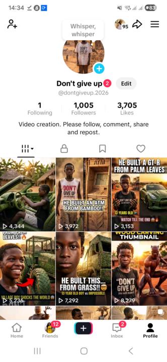 My tiktok got 1k followers 