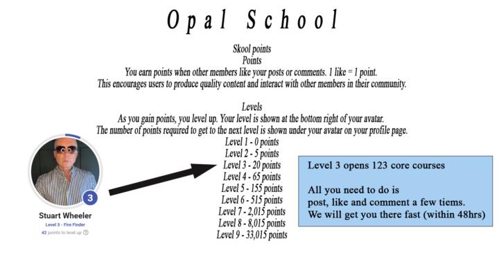 How Your Points Rank Works - Skool Points