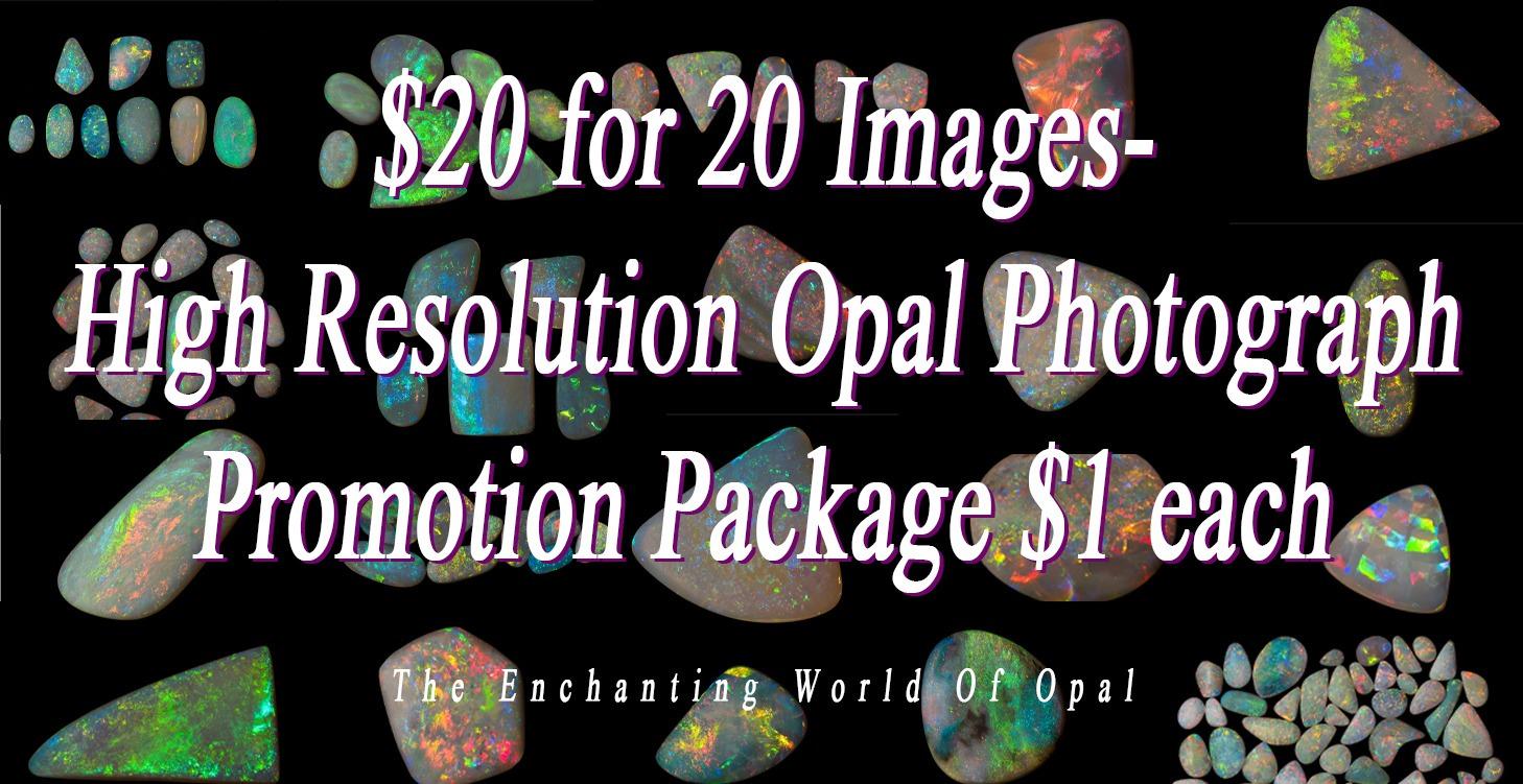 Opal Photograph Collection