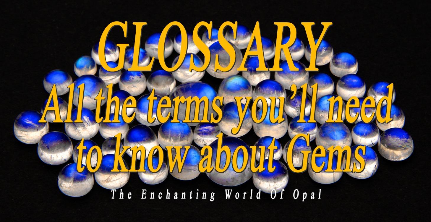 GLOSSARY