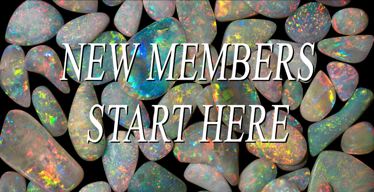 New Member Day 1 - Start