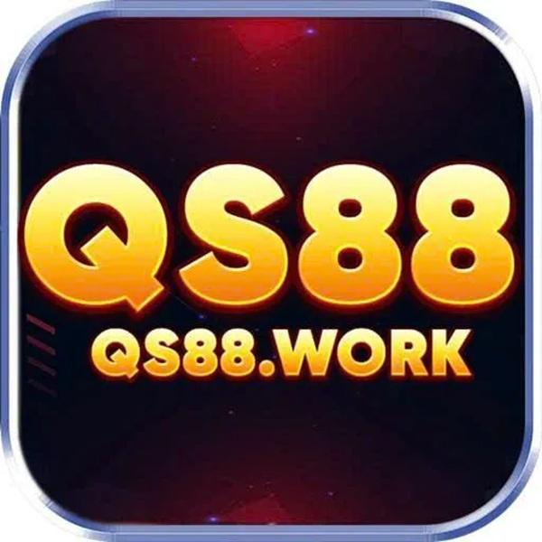 Qs Work