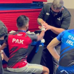 Abubakar The golden sparrow