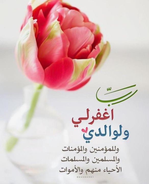 Amal Abdelhamid