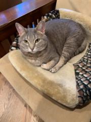 Kathryn Williams-Heese