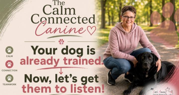 The Calm Connected Canine