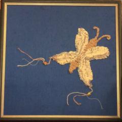 Sukhita Wauters-taylor