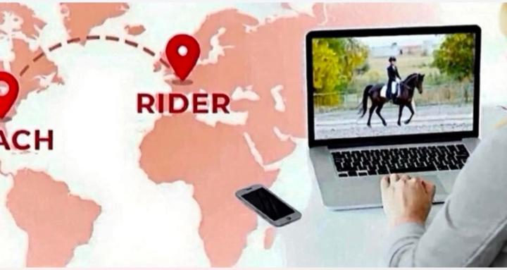 Ultimate Dressage Experience