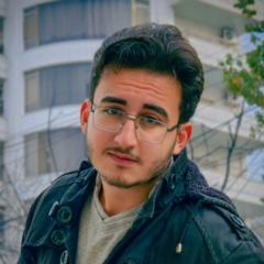 Ali Alshekh