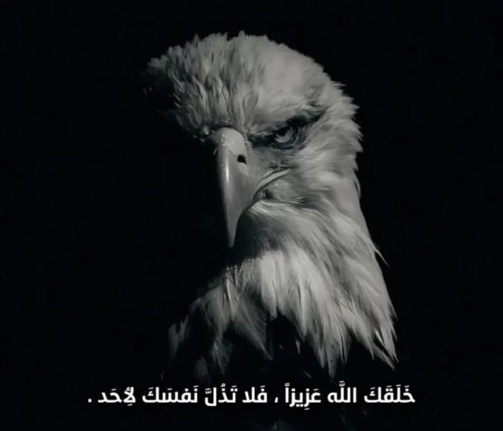 عبدالله الجبلي