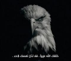 عبدالله الجبلي