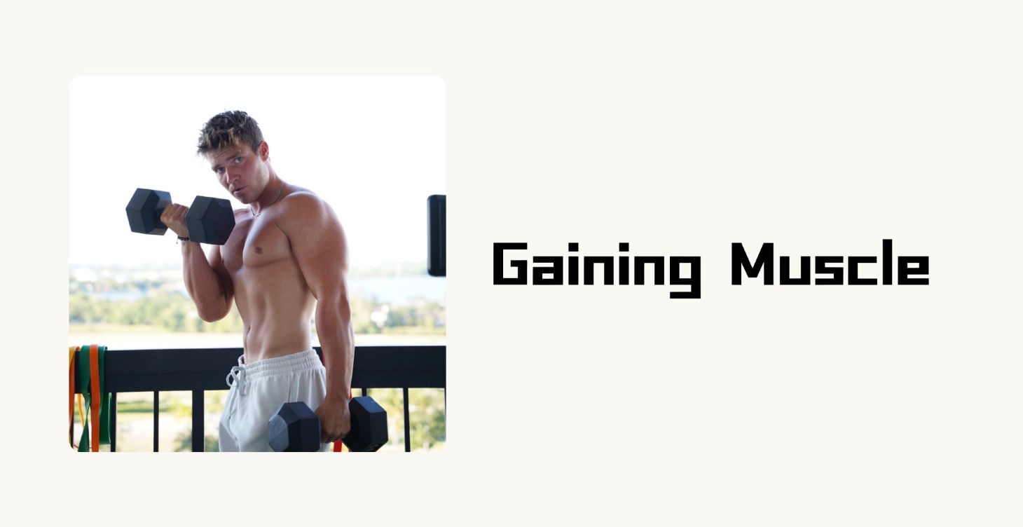 Gaining Muscle