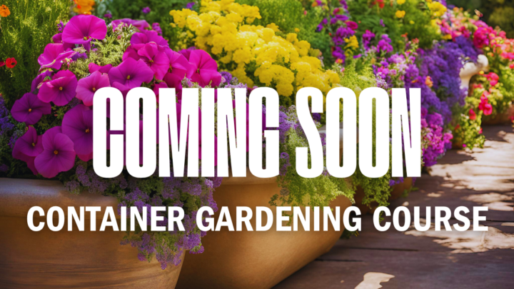 Online Nursery Pre-Order Launching SOON!