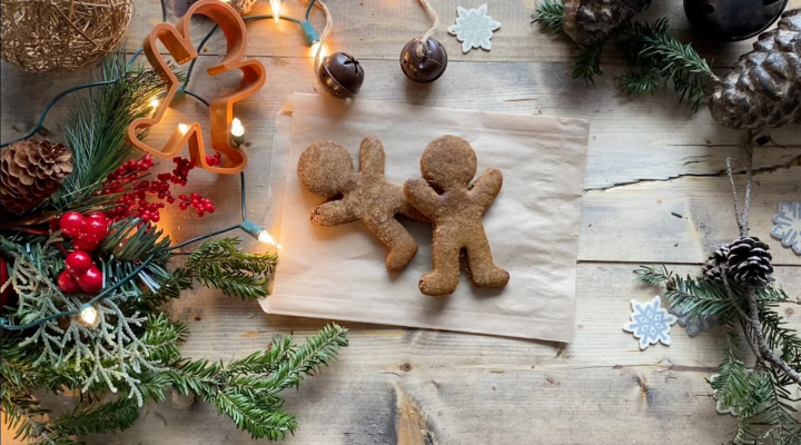Gluten Free Gingerbread Recipe with Video! :) SO SO GOOD!
