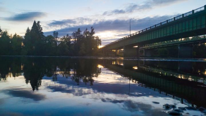 Kaylib Sanchez-Concha