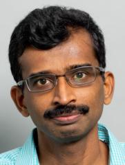 Palaniappan Ramanathan