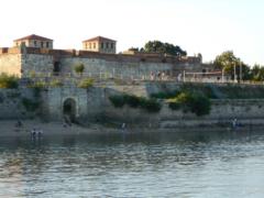 Весела Колева