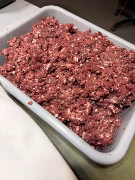 Making elk burger