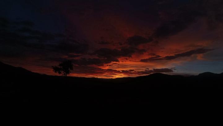 José Teilor Pérez Pérez