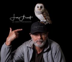 Les Arnott