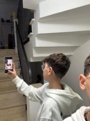 דקל וולפוביץ