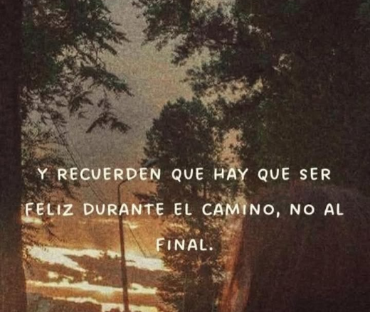 🌱 Ya empezaste