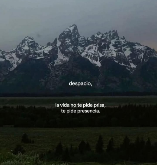 🌱 Elegí menos de lo que creés