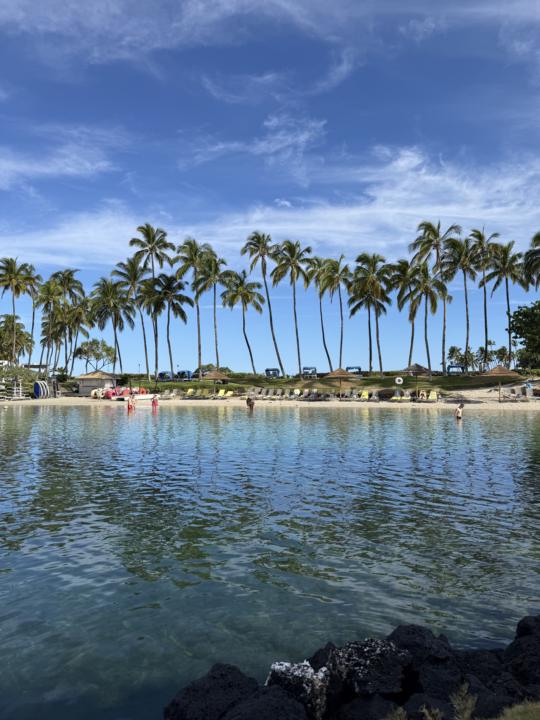 Do you work on your biz on vacation?
