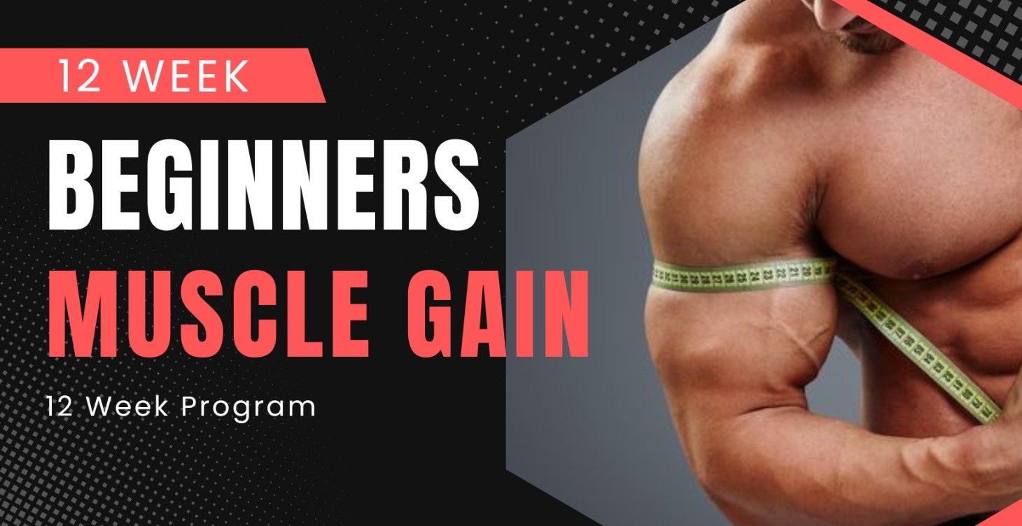 Muscle Gain Beginner Program