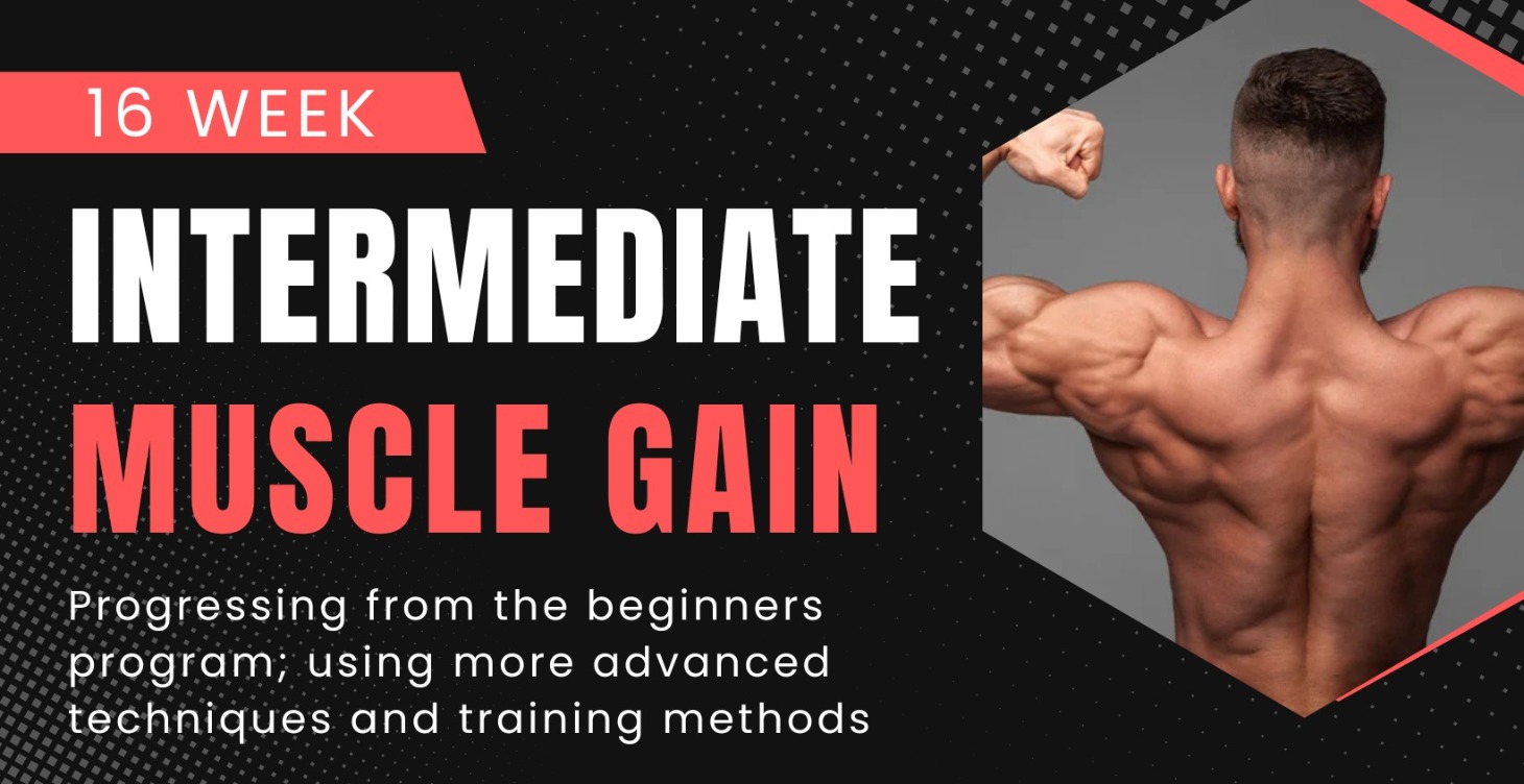 Muscle Gain Intermediate Program