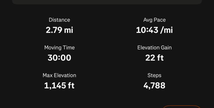 Night Run 