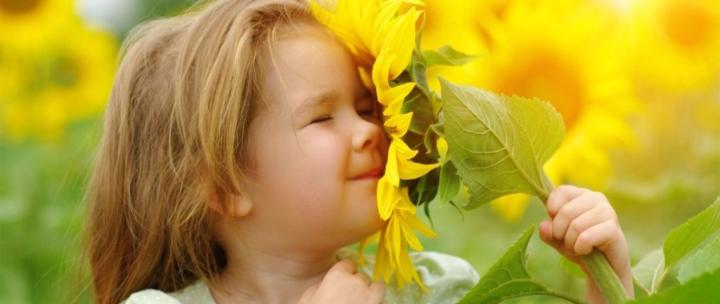 Елена Димитрова