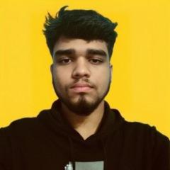 Ashish Bro