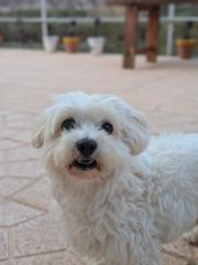 Ignacio Escribano Ruiz