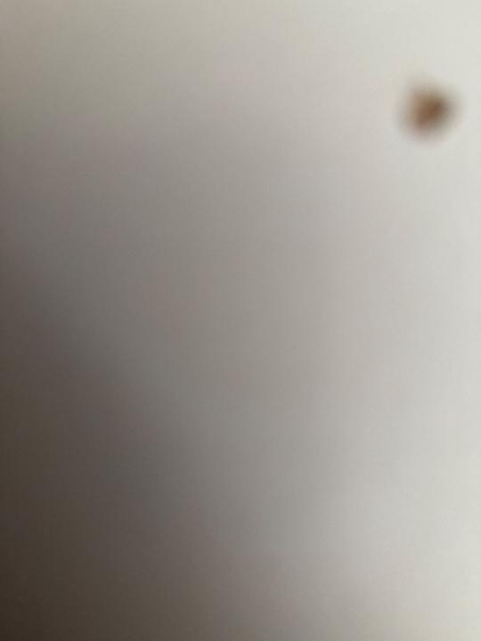 Аружан Мустафина