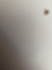 Аружан Мустафина