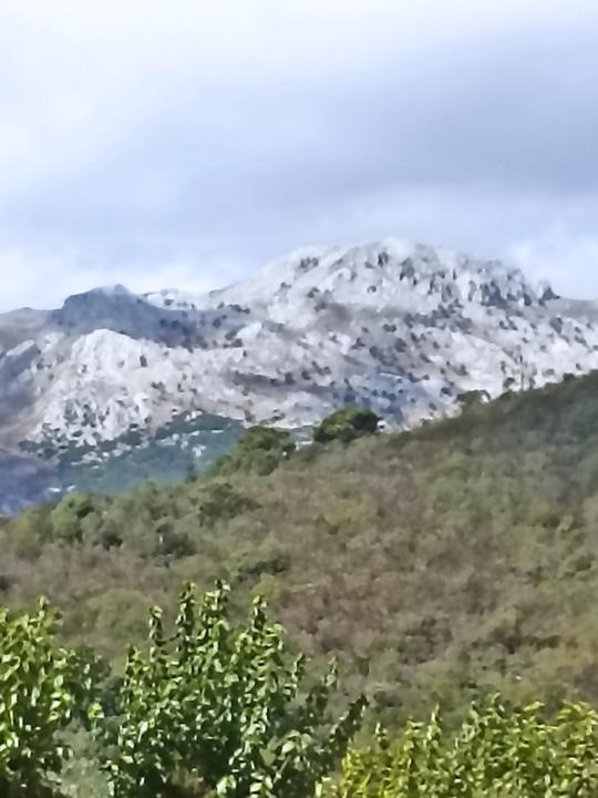 Jilali Tawtaw