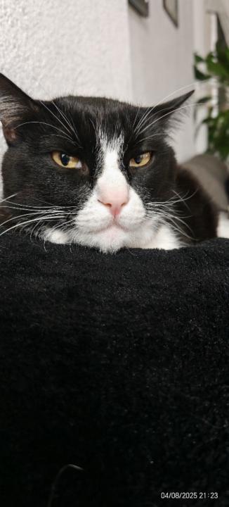 Crystal montserrat Granados Rojas