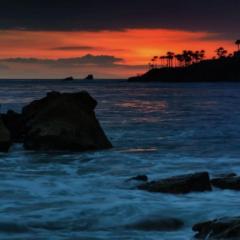 Julie Cooper-Bierman