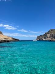 Carolina Ferrandez alba