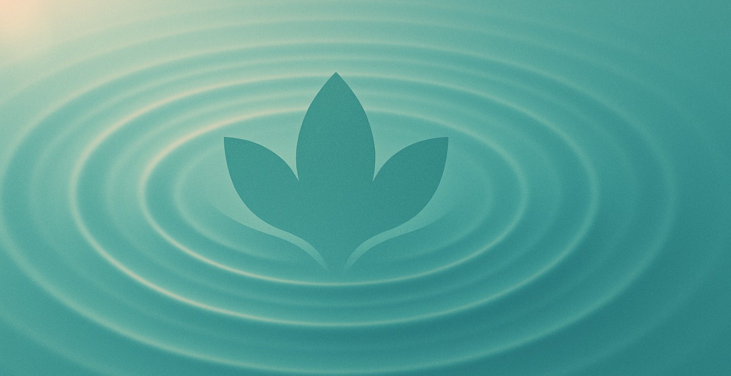 Self-Care & Wellbeing