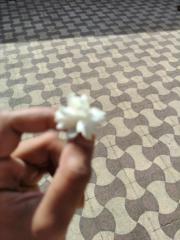 Sujan Mukhi