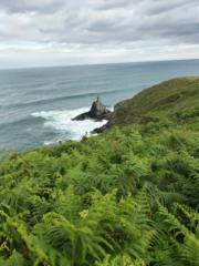 Milagros Gomez Fernandez