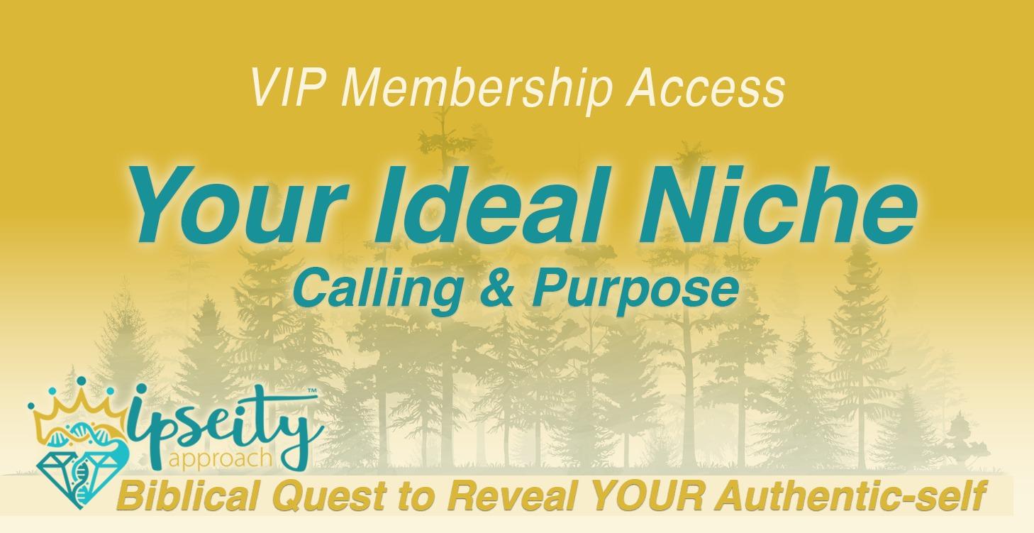 Your Ideal Niche