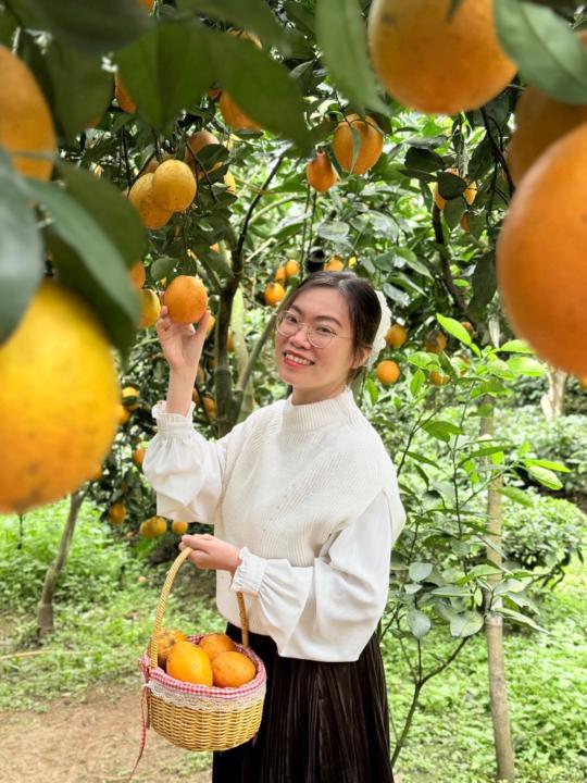 Trần Minh Diệp