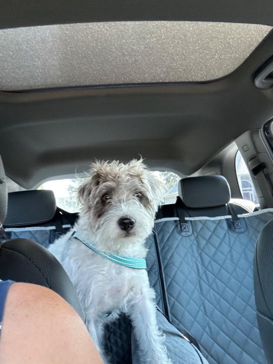 Leta Riemenschneider