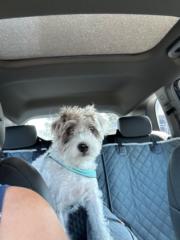 Leta Riemenschneider