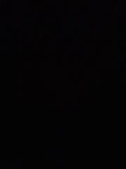 Donatella Montalto Olmos