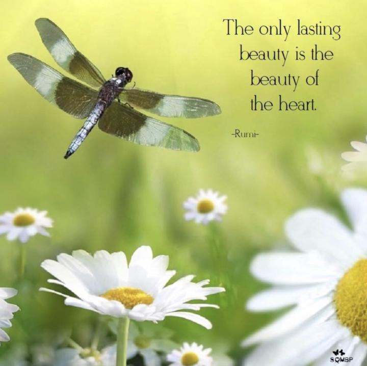 Rumi
