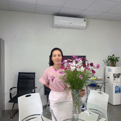 Việt Hà Nguyễn